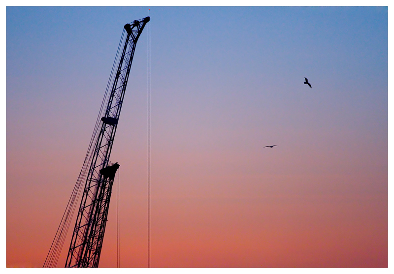 GENOA YOU ARE RED & BLUE