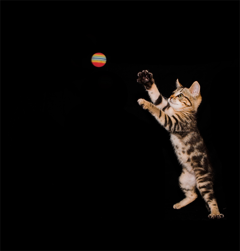 vado a berlino!!!!!!!!!