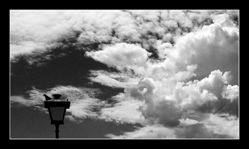 il piccione e i nuvoloni