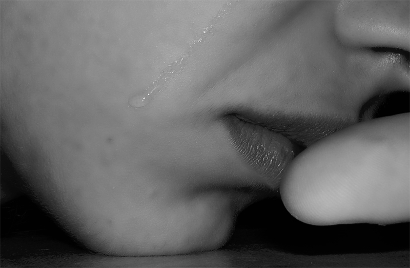 photo contest n. 18 fragile