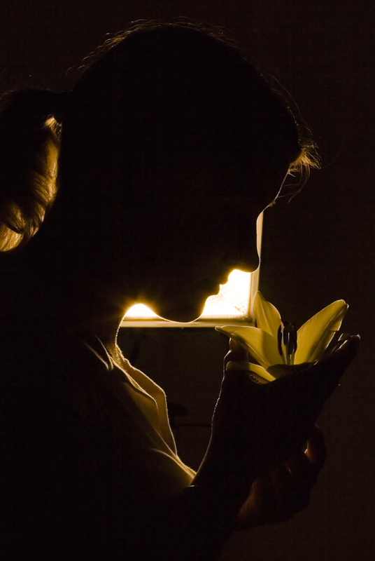 profilo in controluce