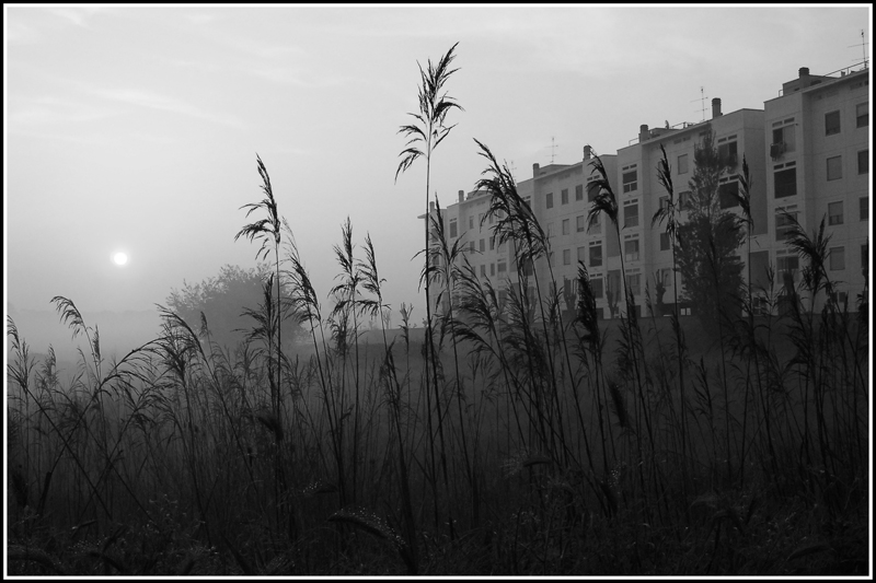 Mattino alle case popolari