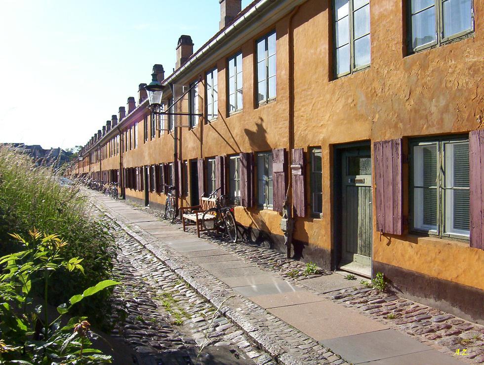 Senape Road