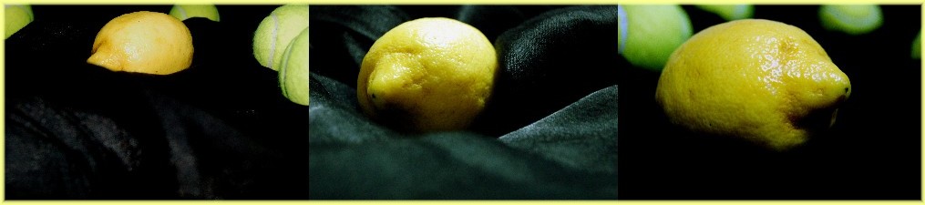 Not Another Lemon Tree
