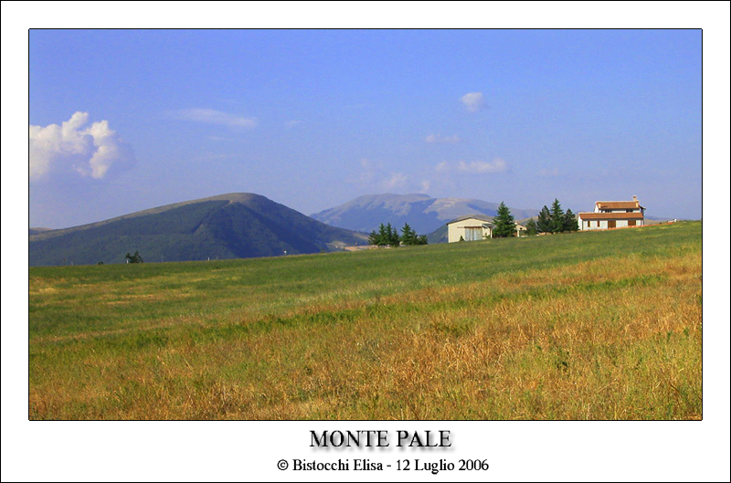 Monte Pale!