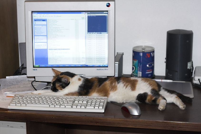 Nuovo accessorio....