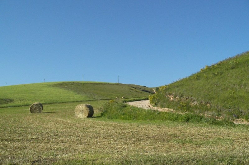 stradello di collina