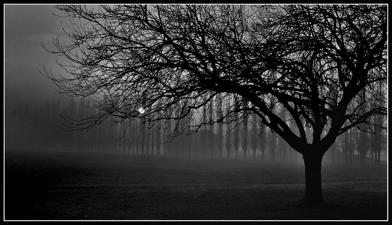 L'ora delle streghe...