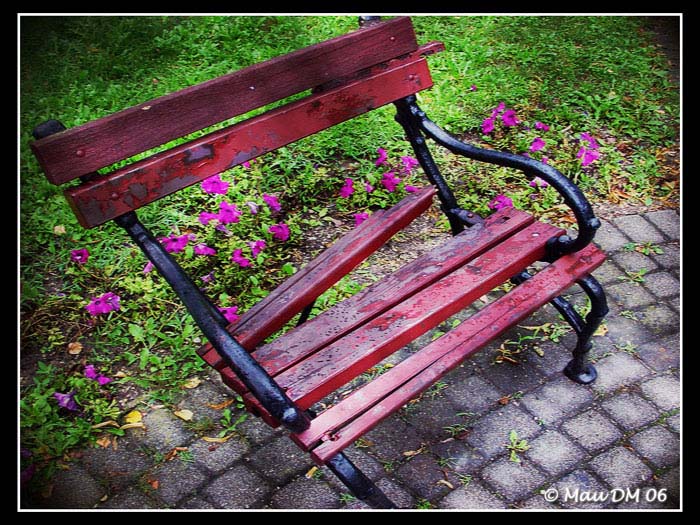 CHI CI SI E' SEDUTO????????