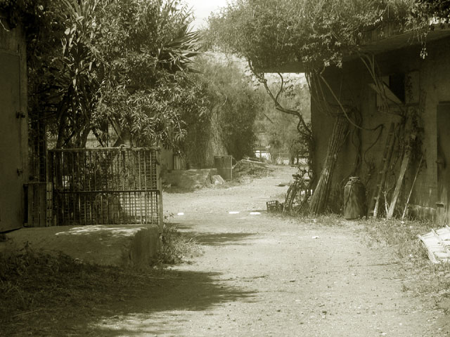 La strada nella fattoria