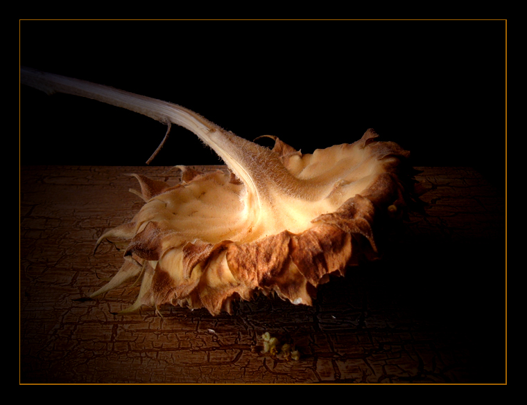 Quel che resta del giorno