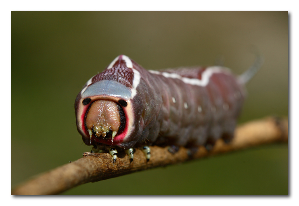 Passeggiata sotto il sole