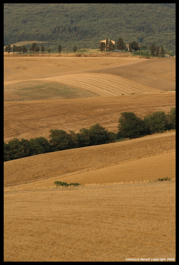 Toscana 2006