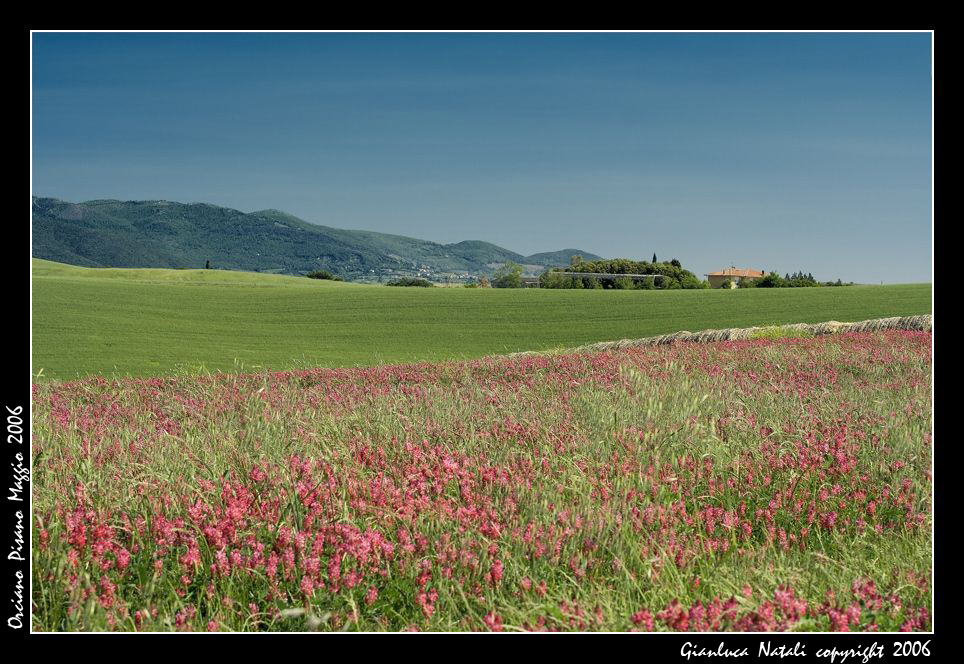 Toscana 2006 - Primavera