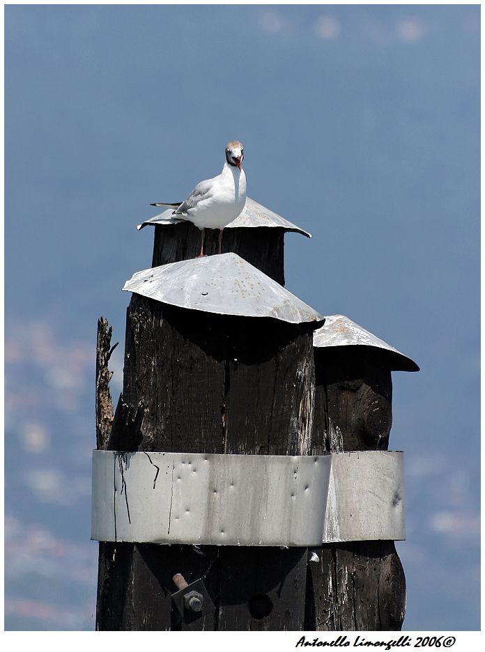 e Tu cosa guardi...?