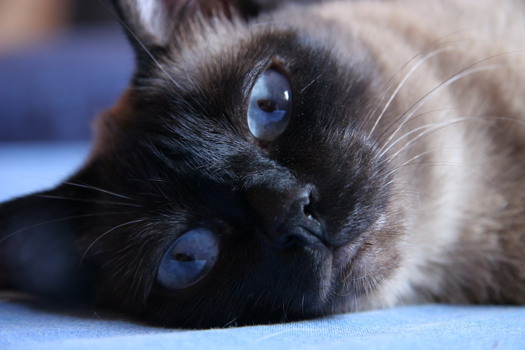 Mi metto in posa.....