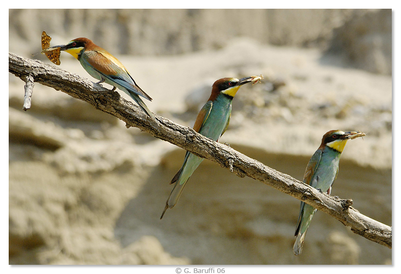 C'� sempre chi si distingue...