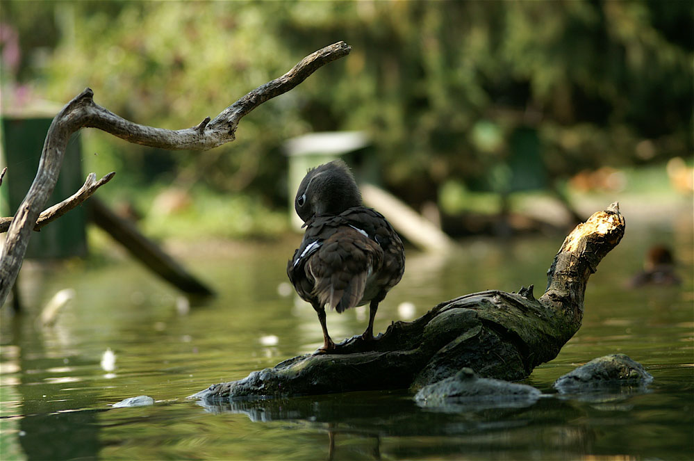un po' di pulizia...