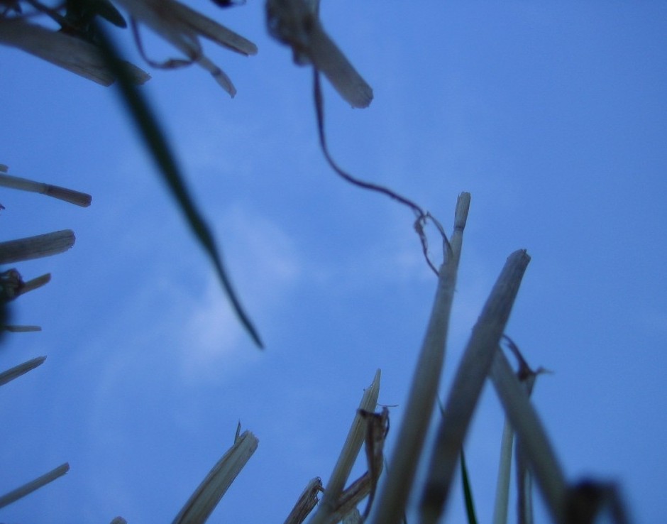 Il cielo visto dalla terra