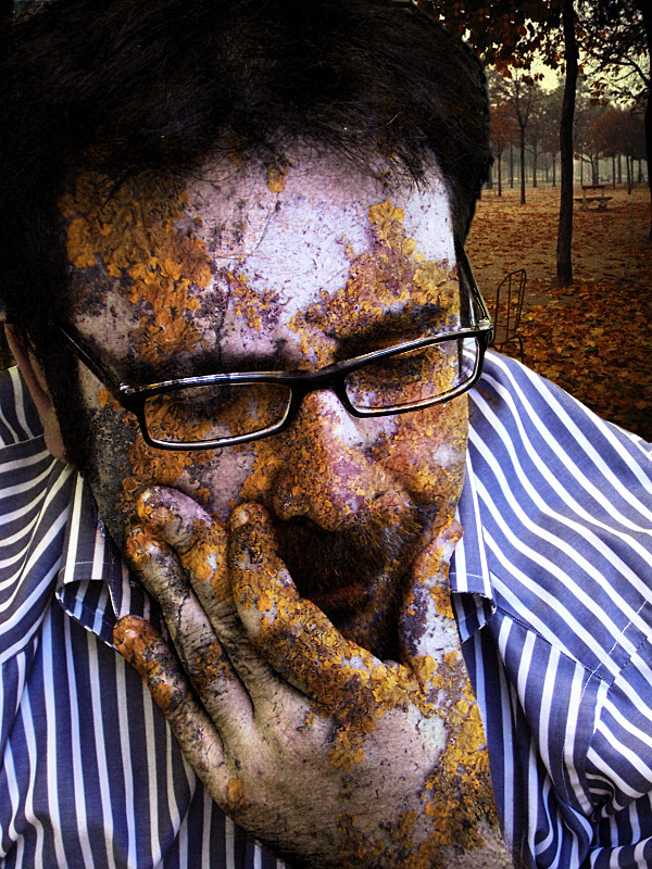 Moss In The Soul *reloaded*