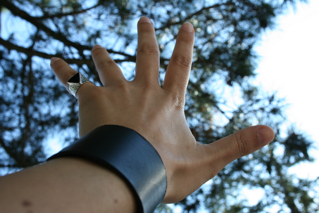 alla ricerca della libert�