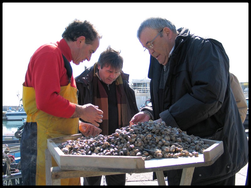 Cernita Di Lumachine