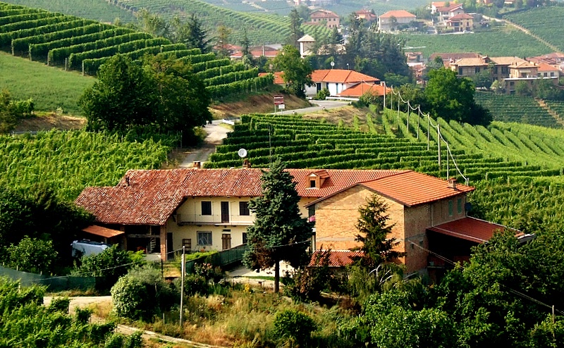 Casolare sulle Langhe