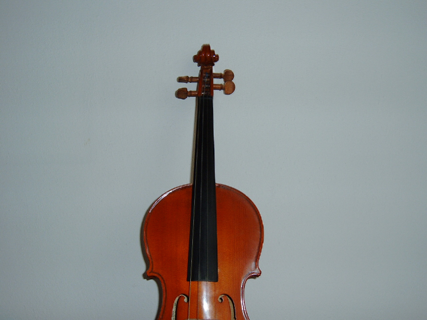 violino