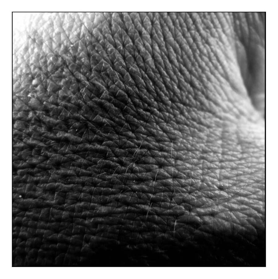 ::: I SEGNI DEL TEMPO :::