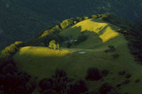 Un cuore per tutti voi