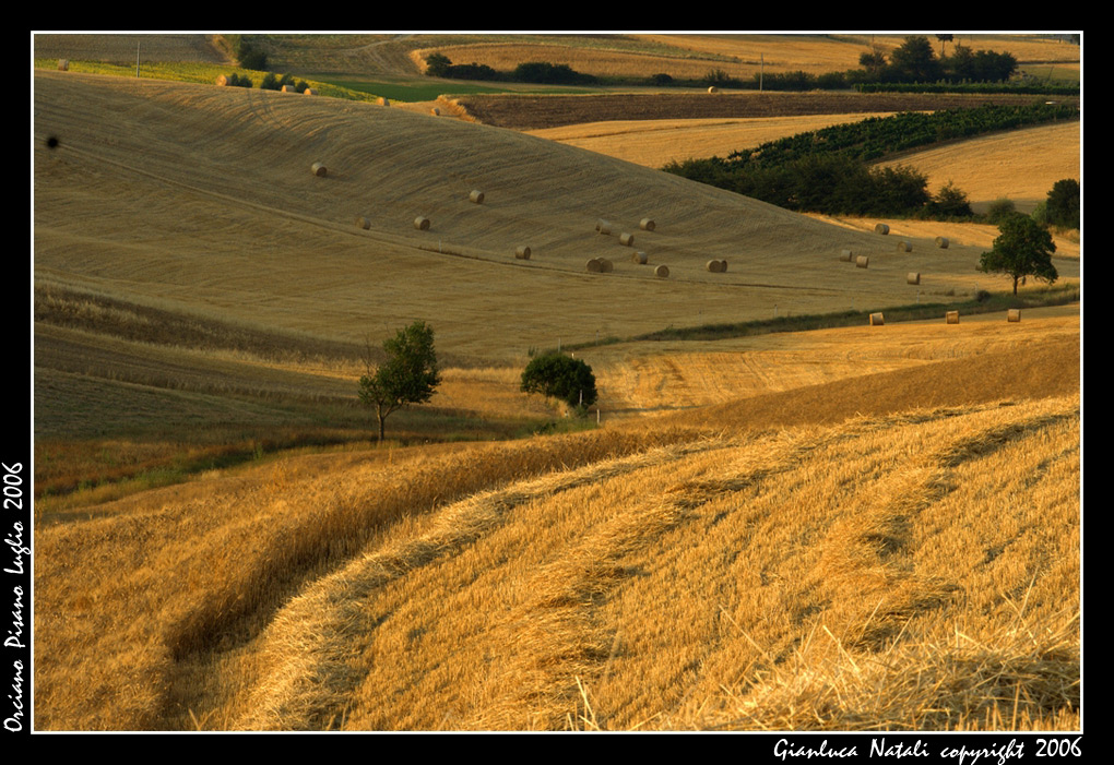 Paesaggio Toscano: Orcianese