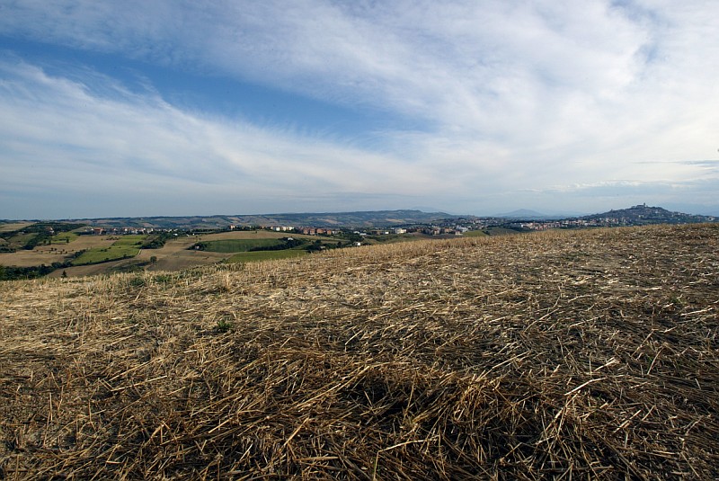 Campagna marchigiana