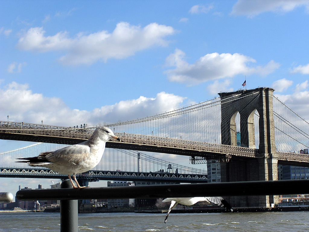 Brooklyn Bridge