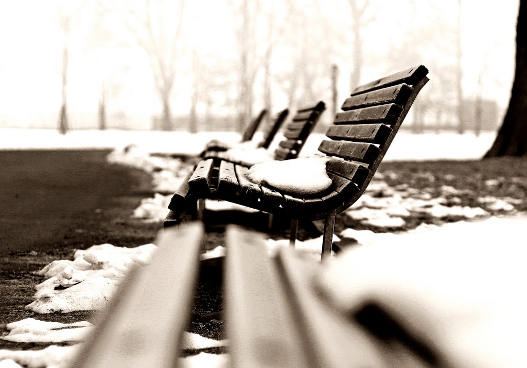 Parco Forlanini - Milano