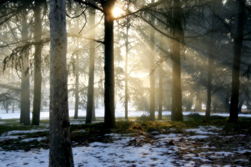 Parco Forlanini - Milano