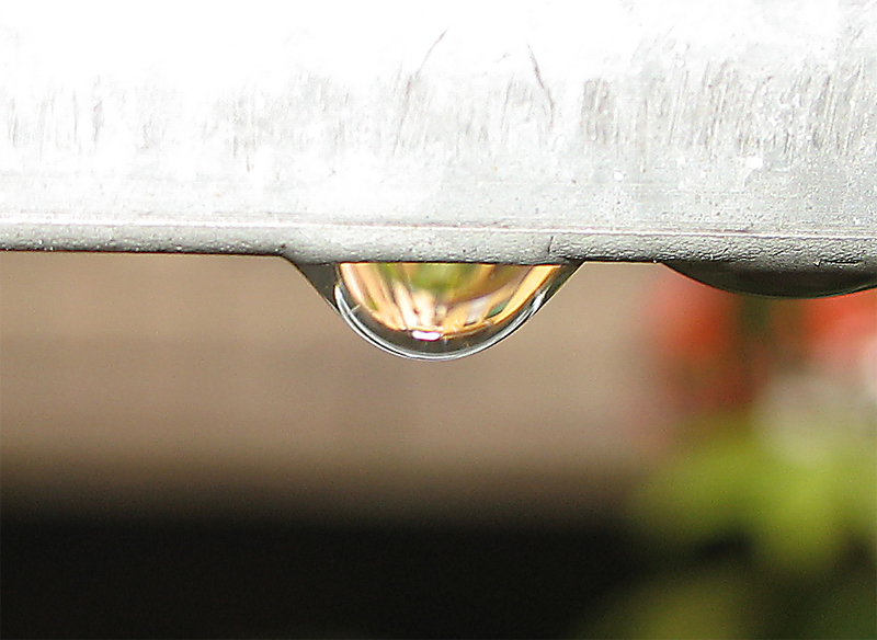 un mondo diverso dentro la goccia