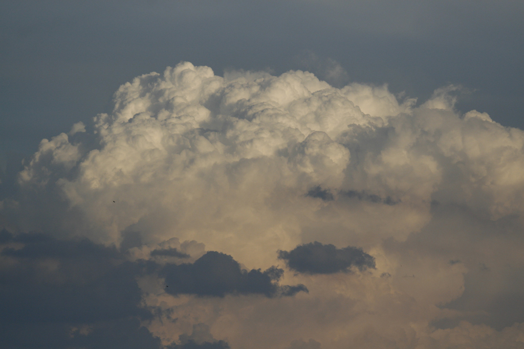 ...non promettono niente di buono