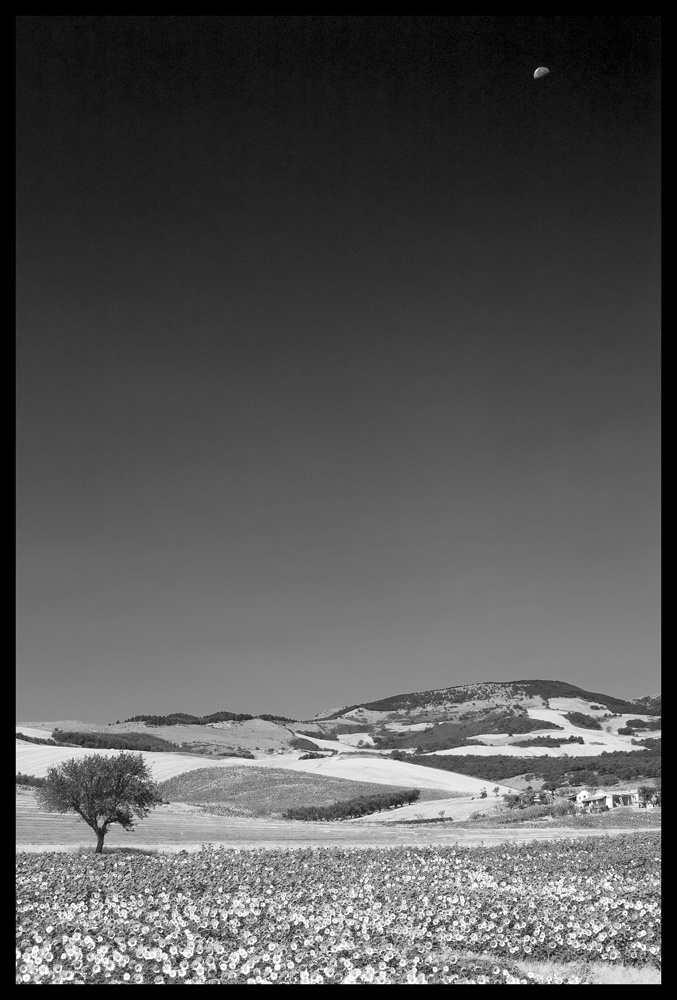 paesaggio b/n
