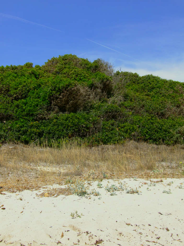 dal cielo alla sabbia
