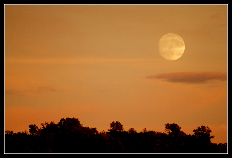 The moon in the savanha...