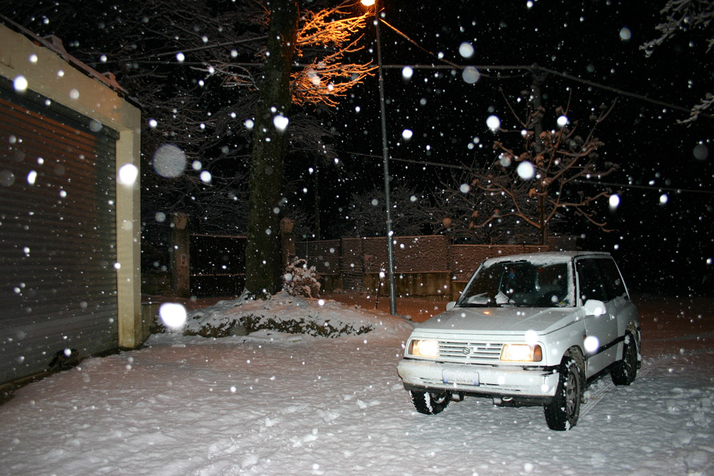 Omaggio al Vitarozzo