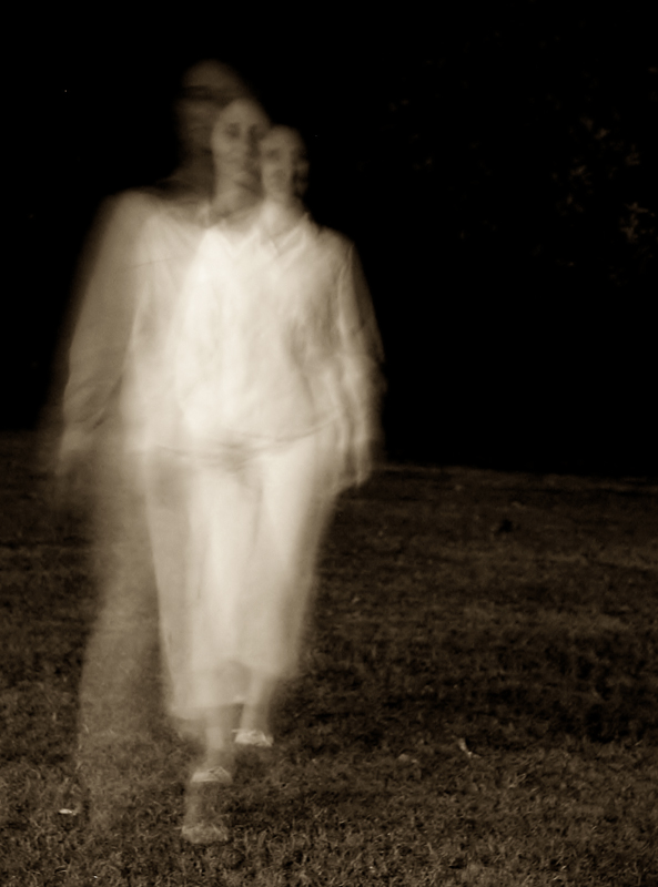 sogno di una notte......