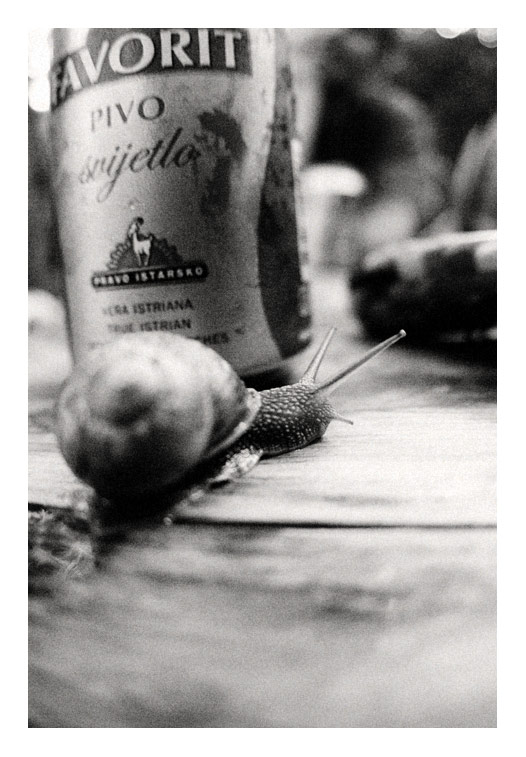 Barcollo ma non mollo!!