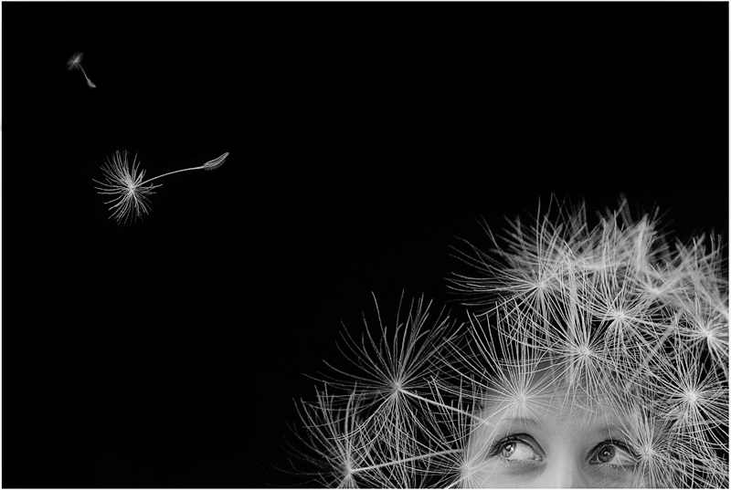 i wish.. i could fly away