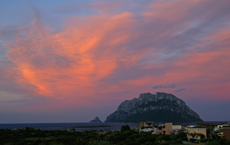 Potenza della natura (Tavolara)
