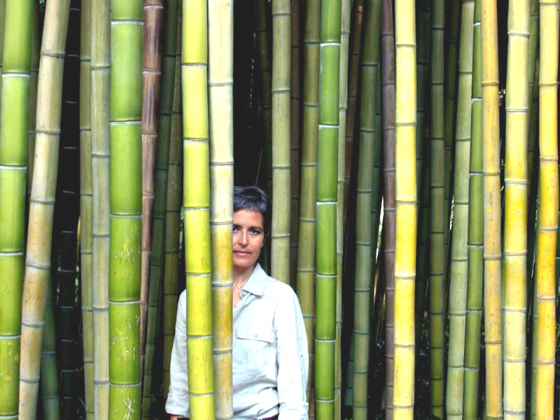 Woman And Bamboo