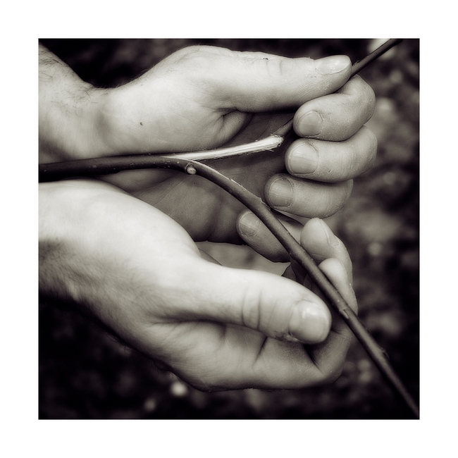 Le mani del vignaiolo