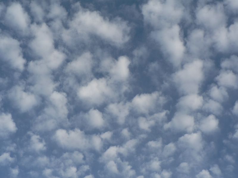 ...cielo a pecorelle