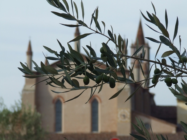 Santuario di Curtatone MN