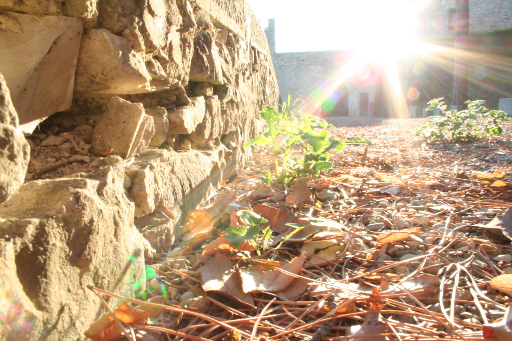 Volutamente controluce...